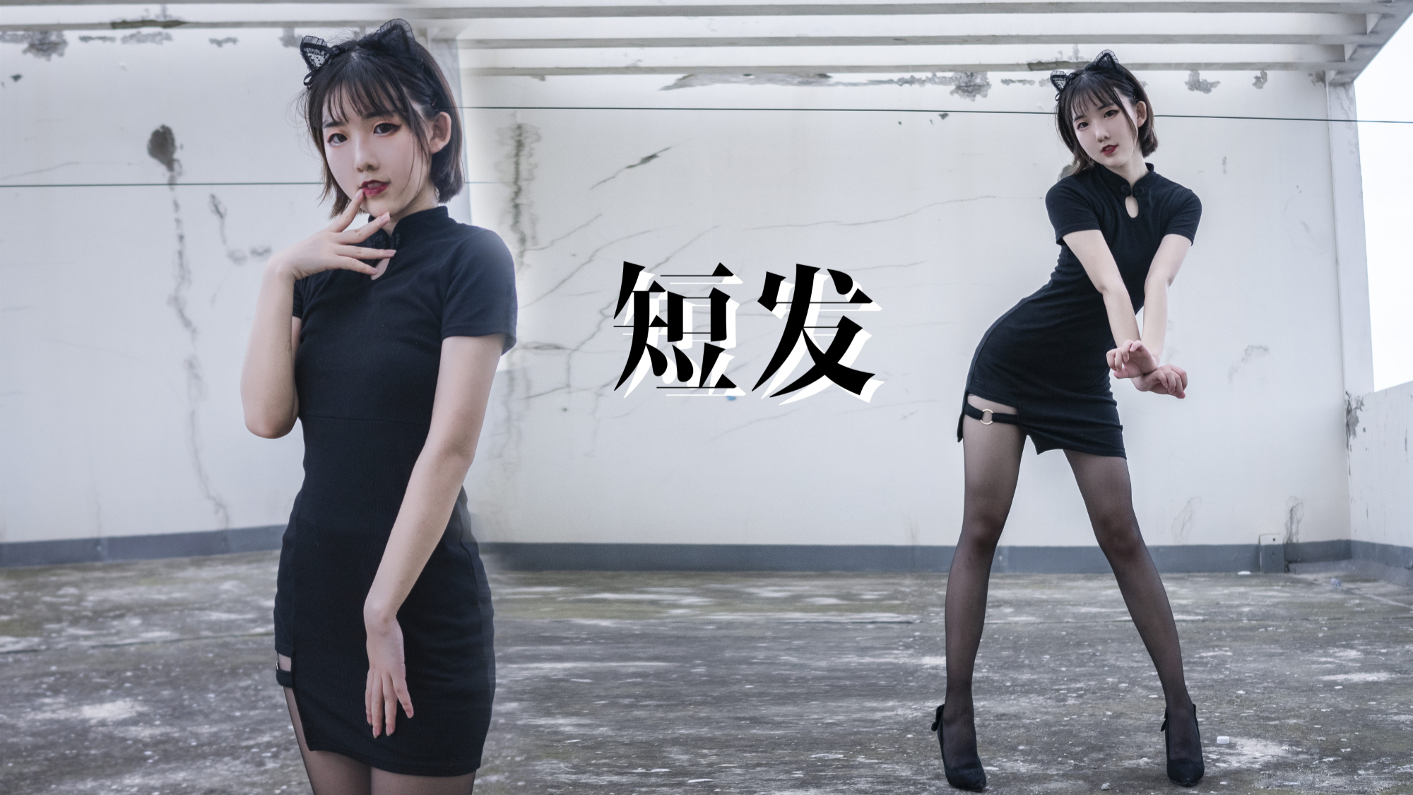 我懂了!按阿婵的标准那我也有36D了!❀猫耳旗袍娘❀AOA-短发